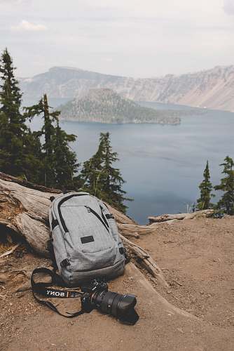 landscape gray and black backpack beside gray tree log and black Sony DSLR camera grey